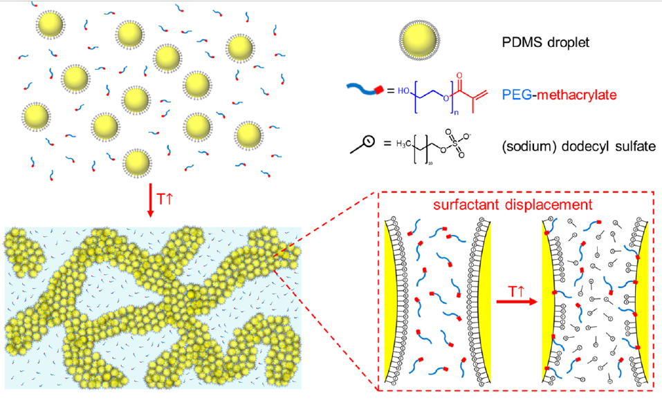 Temperature-Responsive Nanoemulsion Systems for Tunable Colloidal Gelation - IMAGE 2