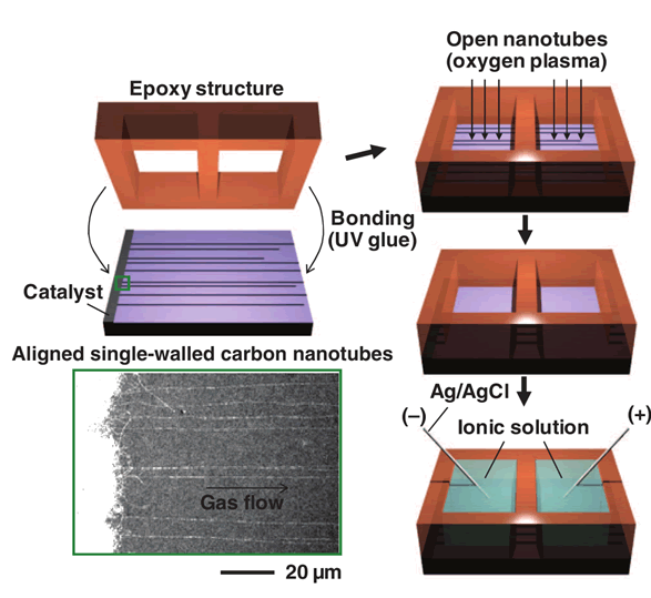 Single Carbon Nanotube Nanopores – Strano Research Group